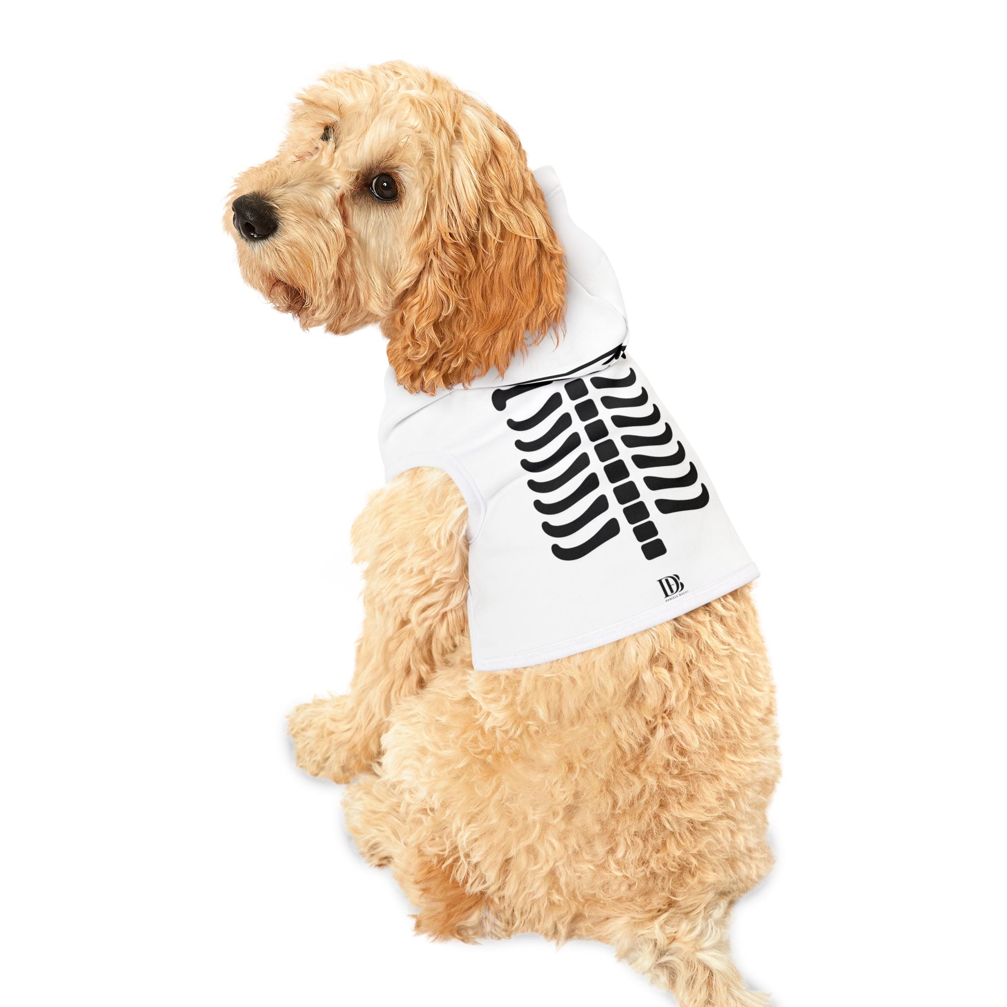 Halloween Pet Hoodie