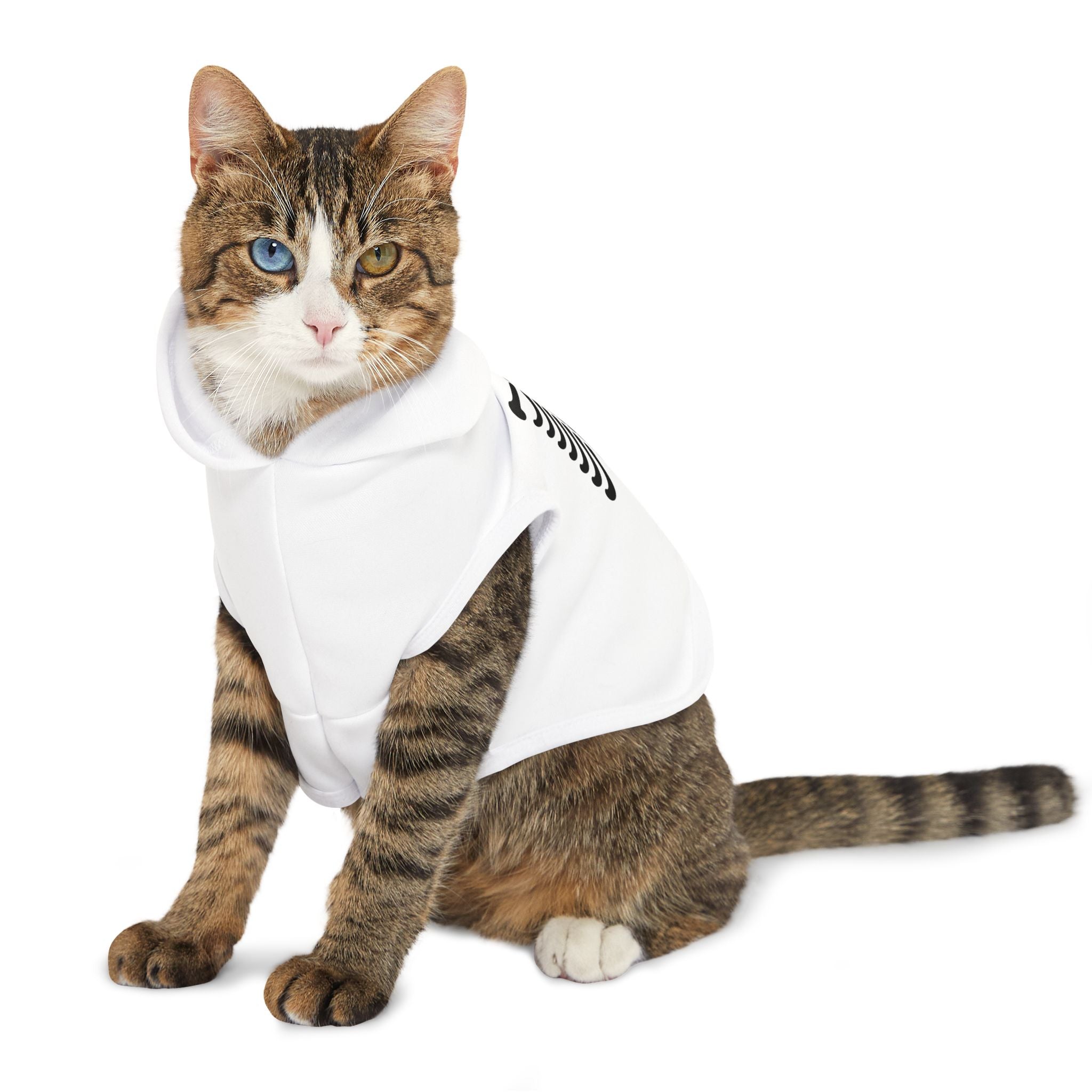 Halloween Pet Hoodie